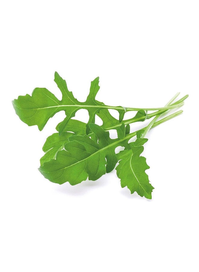 click 3Piece Pesticide With Free Edible Arugula Plant Pod Set SGR19X3  - Image 2