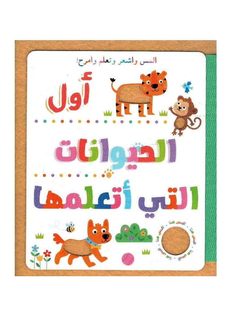 null - اللمس، والشعور، والتعلم، واللعب مع الحيوانات الأولى التي أتعلمها - Image 1