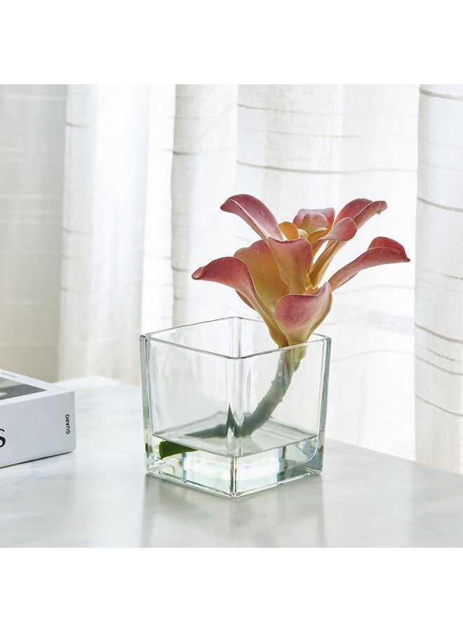 Home Box Liara Succulent Pick In Glass 15 X 15 X 18 Cm  - Image 1