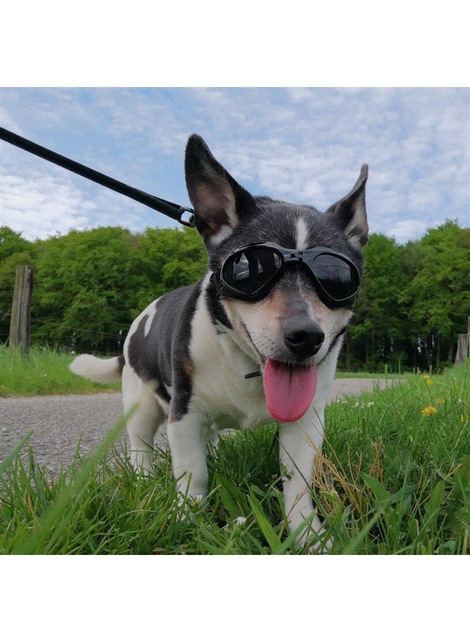 Petleso Dog Goggles Medium Breed, Dog Sunglasses for Medium Dogs Eye Protection Windproof, Black