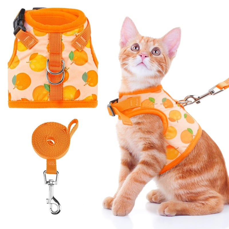 BINGPET Cat Harness with Leash Escape Proof Fashionable Mesh Cat Dog Walking Harness Leads Adjustable for Kitties Puppies Small Animals Large - Image 2