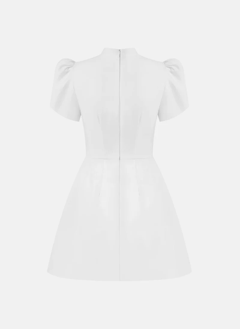 Lichi Mini dress with high collar and button fastening