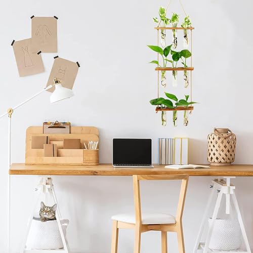 ecofynd 3-Tier Wall Hanging Test Tube Planter with Wooden Holder, Air Planter Glass Vase Holder with 9 Test Tube, Home Decor Hydroponic Plant Stand for Living Room, Office (TTP010) - Image 5