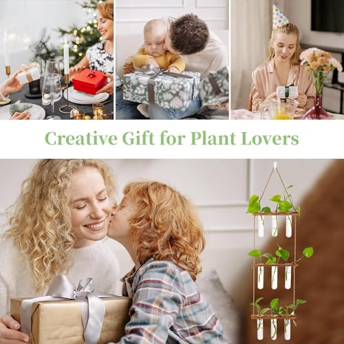 ecofynd 3-Tier Wall Hanging Test Tube Planter with Wooden Holder, Air Planter Glass Vase Holder with 9 Test Tube, Home Decor Hydroponic Plant Stand for Living Room, Office (TTP010) - Image 4