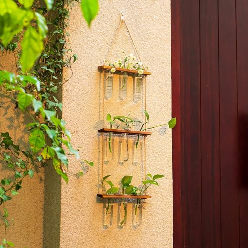 ecofynd 3-Tier Wall Hanging Test Tube Planter with Wooden Holder, Air Planter Glass Vase Holder with 9 Test Tube, Home Decor Hydroponic Plant Stand for Living Room, Office (TTP010) - Image 2