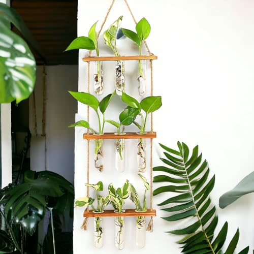 ecofynd 3-Tier Wall Hanging Test Tube Planter with Wooden Holder, Air Planter Glass Vase Holder with 9 Test Tube, Home Decor Hydroponic Plant Stand for Living Room, Office (TTP010) - Image 1