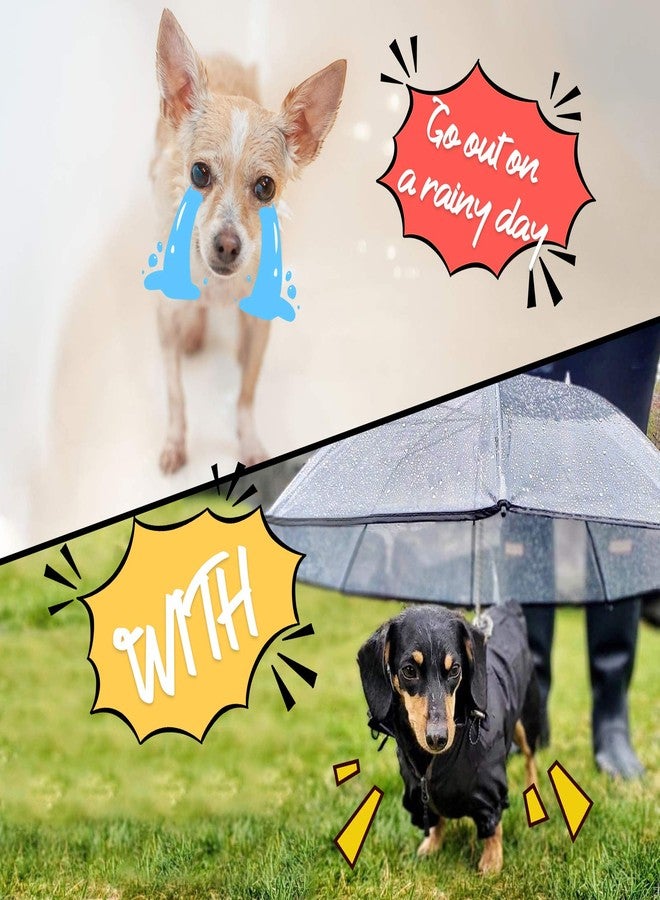 NAMSAN Clear Dog Umbrella for Small Dogs, Dog Umbrella Leash Keeps Dogs Dry in Rain Walking, Adjustable Leash, Self-Assembly - Image 3