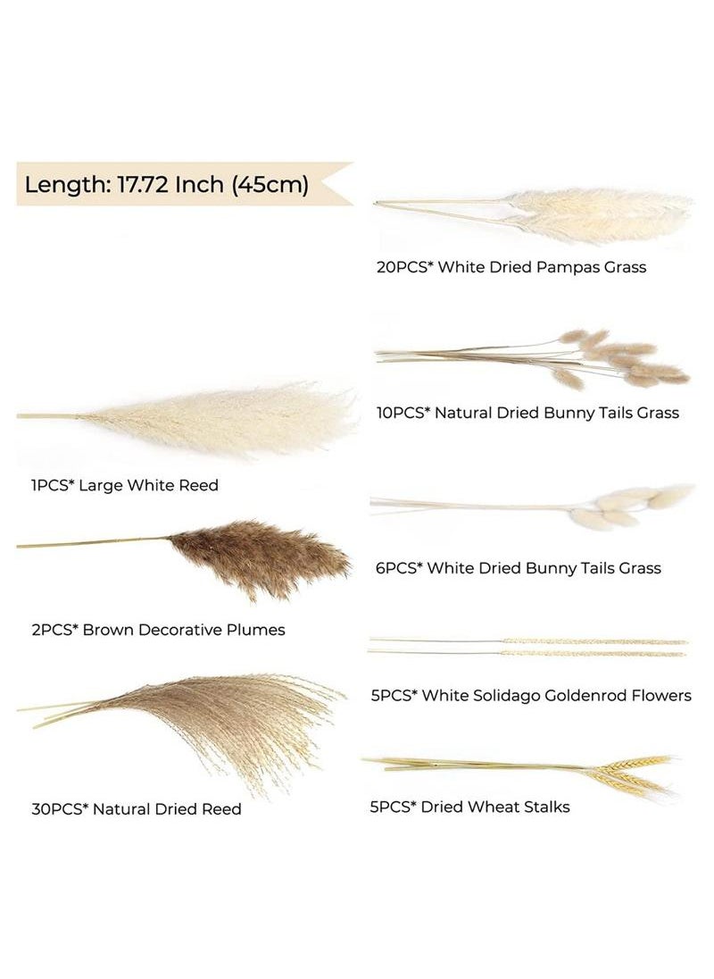 Generic 79 Pcs Dried Pampas Grass Dried Flowers Of Small Reeds Boho Natural Flowers Arrangements White Reed Bunny Tails for Home Decor Flower Living Room Balcony Wedding Party 