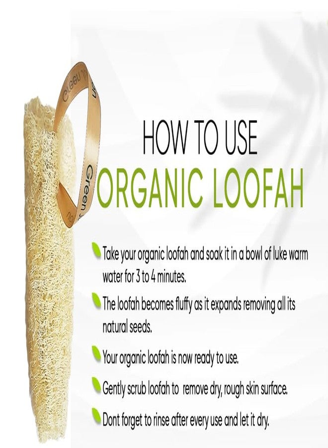 Green Junction Plant Based Loofah, Biodegradable, with Luxurious Ribbon to Hand DryI Set of 2 IMedium I Clean I Organically Grown) - Image 5