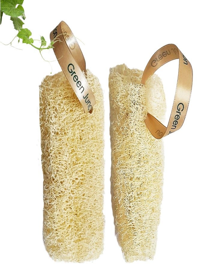 Green Junction Plant Based Loofah, Biodegradable, with Luxurious Ribbon to Hand DryI Set of 2 IMedium I Clean I Organically Grown) - Image 1