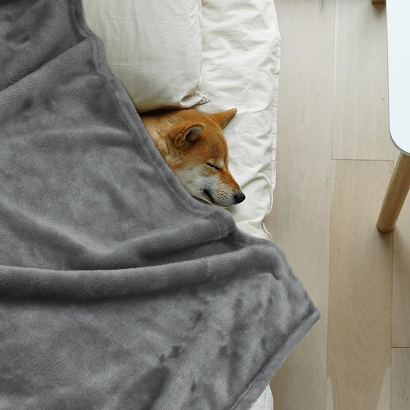 Onarway Dog Blanket Washable for Bed: 2 Packs Dog Blankets 59â€x47â€ - Fluffy Soft Large Throw for Cat Puppy Kitten Dogs - Fleece Pet Blankets for Crate Couch Car and Indoor - Grey - Image 2