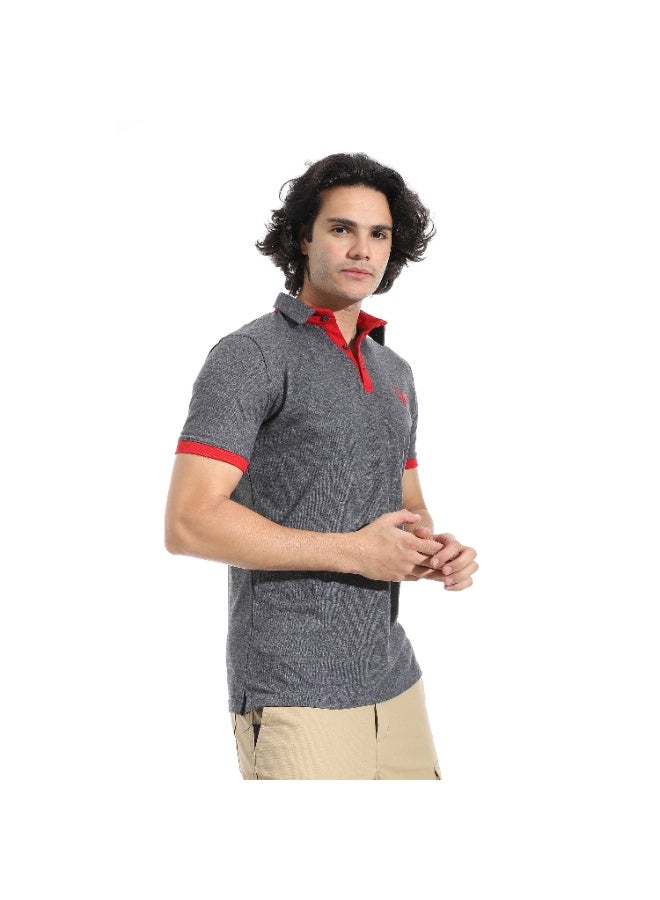 سيزار تيشرت بولو رجالي بياقة وتطريز علي الصدر - Image 2