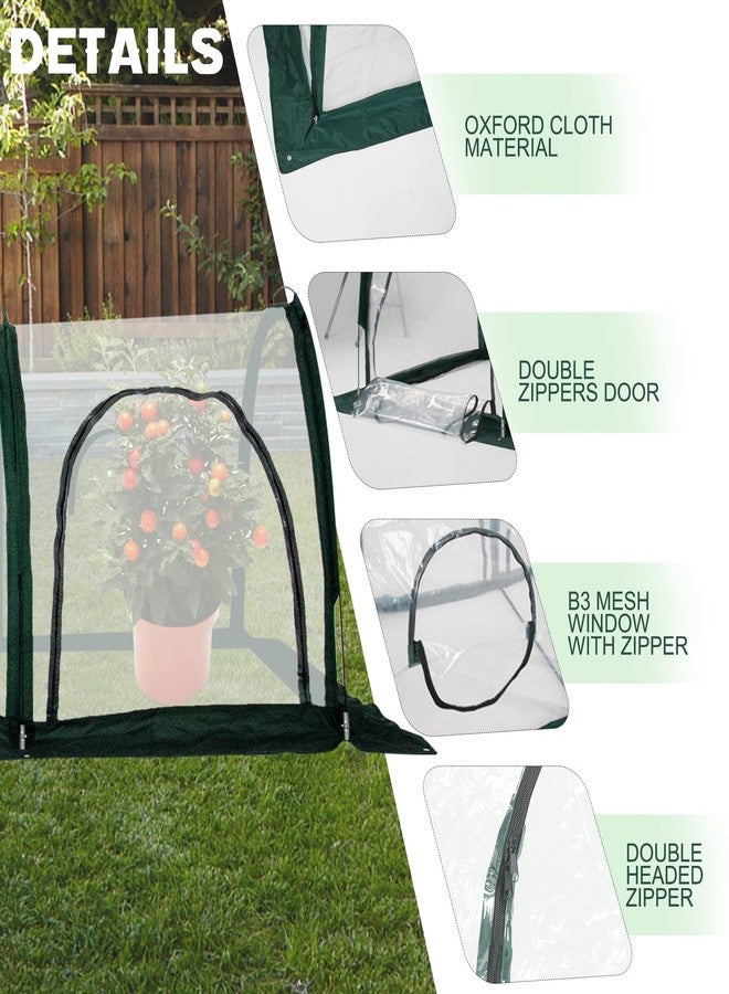 Toboom Outdoor Portable Tunnel Greenhouse - Clear Mini Greenhouses, Ideal for Backyards and Outdoor Vegetables Growing (3M) - Image 5