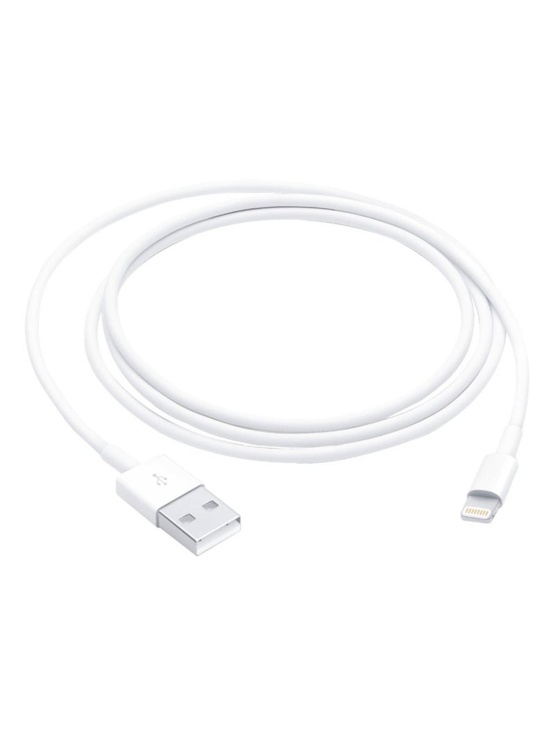كابل أبل USB-A إلى Lightning بطول 1 متر | كابل شحن ونقل بيانات أصلي للآيفون - Image 1