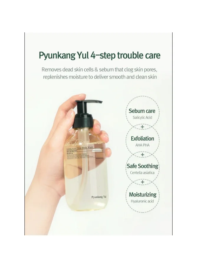 Pyunkang Yul Calming Acne Clear Body Wash 290Ml