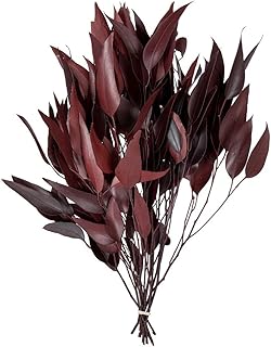 Vickerman Natural Botanicals 18" Eucalyptus Willow, Red Preserved Foliage Dried Floral Decor, 5-6 oz Per Pack - Image 1