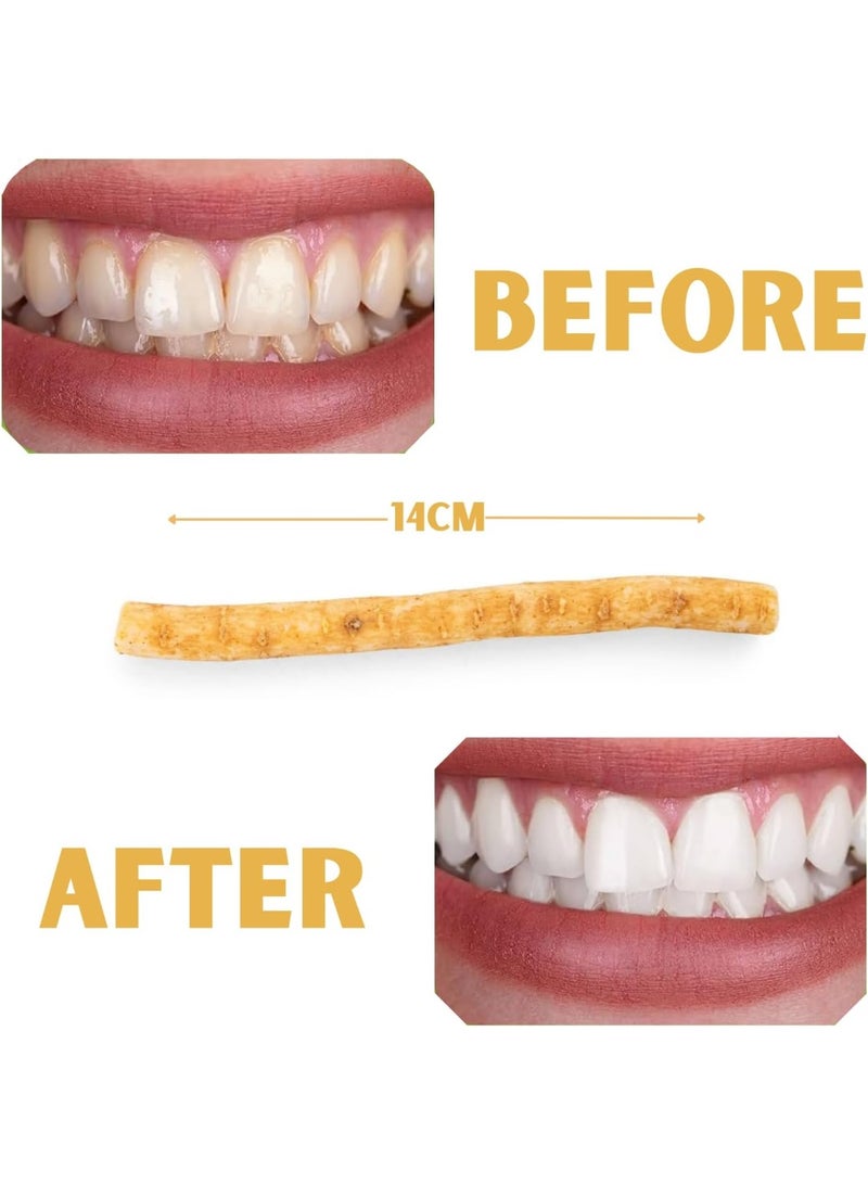 Set of 10 100% Natural Miswak Toothbrush - Peelable and Chewable Sticks for Whiter Teeth, Organic, Sealed, Maintains Healthy Gums and Teeth. - Image 3