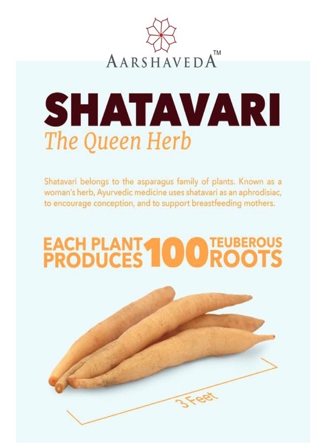 Aarshaveda كبسولات أرشفيدا شاتافاري | صحة المرأة | تخفيف التوتر | مكمل غذائي لتوازن الهرمونات | كبسولات | 60 كبسولة - Image 3