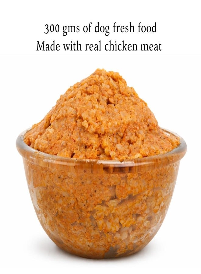 PawCloud Dog Fresh Food - Chicken Vegetable & Rice - 300 gm | Wet Gravy Meal for All Breeds & Life Stages | No Artificial Flavours, No Added Colours, Preservative-Free | Pack of 5 - Image 3