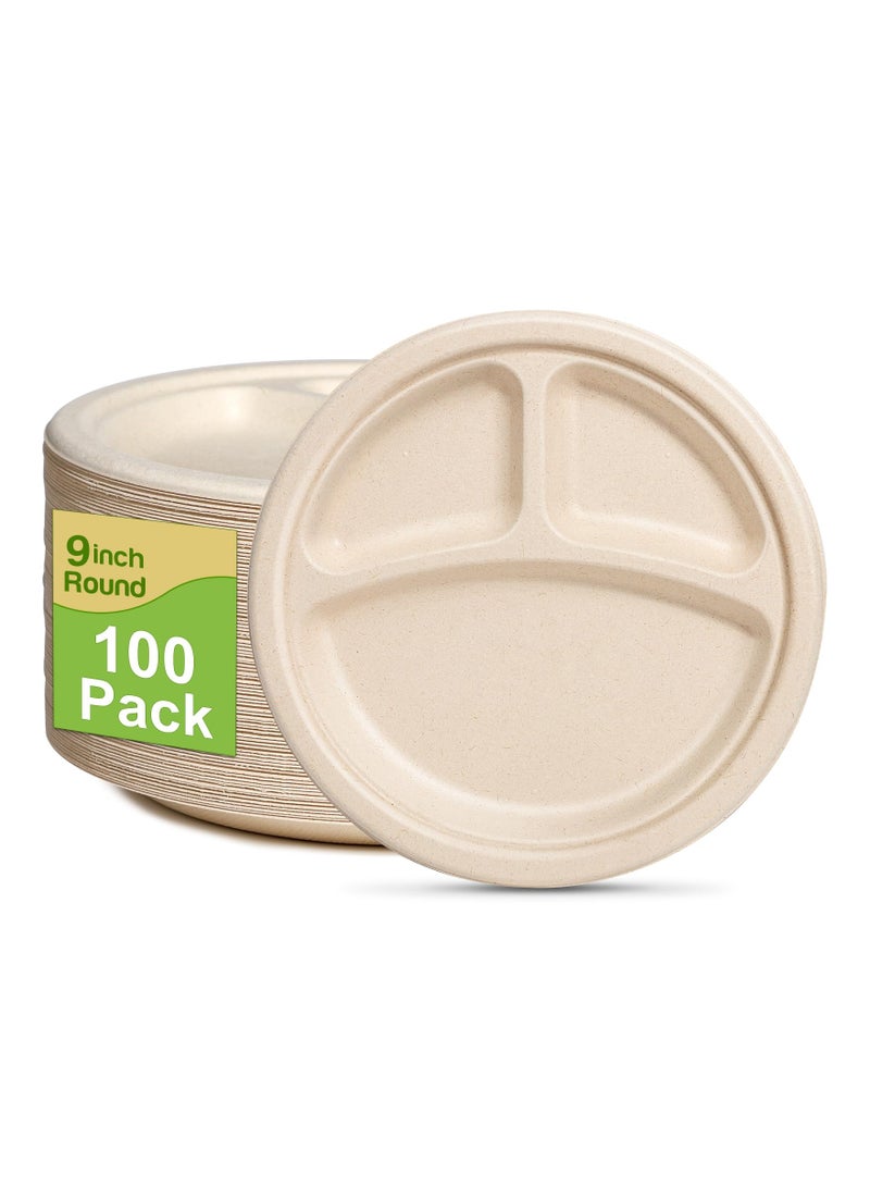 SYOSI 100PCS Compartment Paper Plates,  9 inch Disposable Plates with Dividers Divided Compostable Plates Eco-Friendly Party Plates Biodegradable Picnic Plates Compartment Meal Plates for Everyday - Image 1