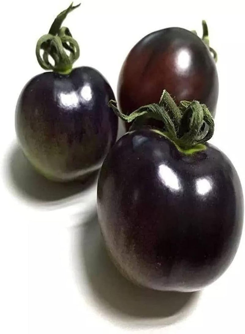 GGOOT 100 lila Tomatensamen die das ganze Jahr über geerntet Werden Hervorragende dekorative Pflanzen im Gemüsegarten schaffen eine einzigartige künstlerische Landschaft die pflegeleicht ist - Image 3