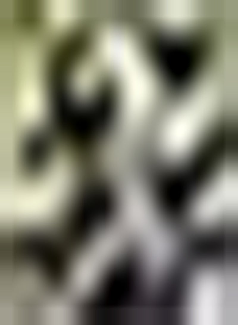 GGOOT 100 lila Tomatensamen die das ganze Jahr über geerntet Werden Hervorragende dekorative Pflanzen im Gemüsegarten schaffen eine einzigartige künstlerische Landschaft die pflegeleicht ist - Image 2