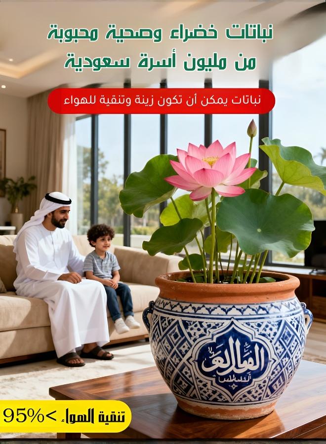 بذور زهور اللوتس المائية للزراعة في المنزل والحديقة - Image 5