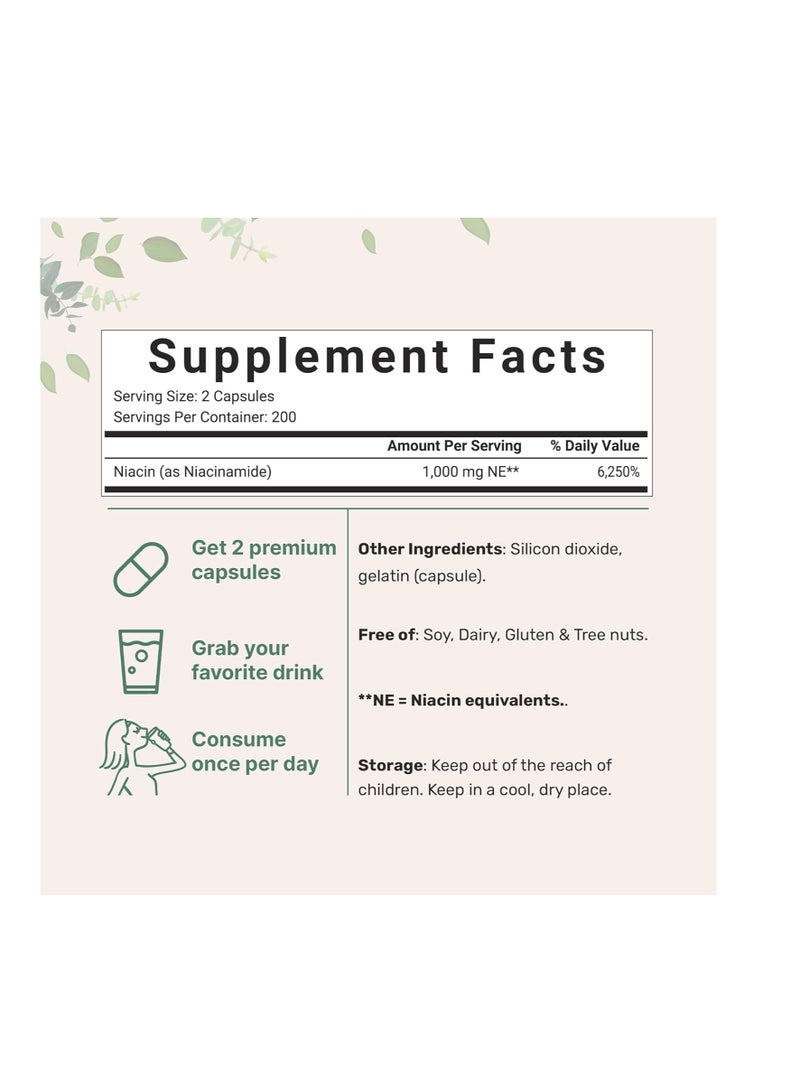 microingredients Vitamin B3 Niacinamide 1000mg Per Capsule, 400 Capsules - Image 2