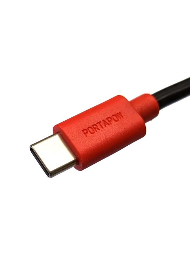 PortaPow USB-C to C 5ft Charging Cable with Data Blocker - Image 2