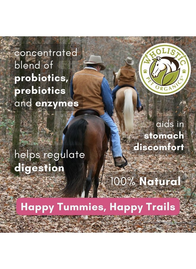 Wholistic Pet Organics Wholistic Pet Organics Digest-All Plus: Horse Probiotics Powder - 1 Lb - Equine Probiotics and Prebiotics with Digestive Enzymes - Equine Digestive Supplements for Gas, Constipation and Gut Health  - Image 3