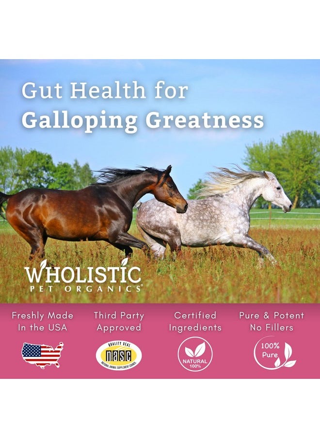 Wholistic Pet Organics Wholistic Pet Organics Digest-All Plus: Horse Probiotics Powder - 1 Lb - Equine Probiotics and Prebiotics with Digestive Enzymes - Equine Digestive Supplements for Gas, Constipation and Gut Health  - Image 5