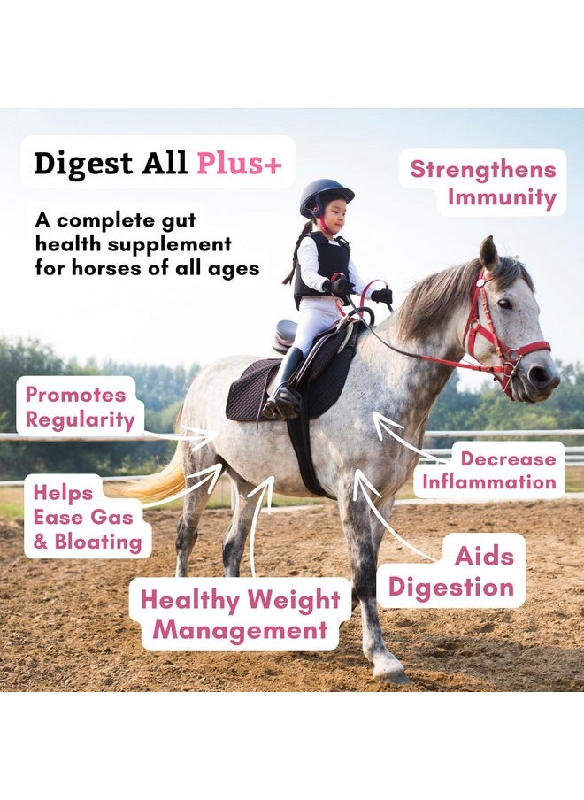Wholistic Pet Organics Wholistic Pet Organics Digest-All Plus: Horse Probiotics Powder - 1 Lb - Equine Probiotics and Prebiotics with Digestive Enzymes - Equine Digestive Supplements for Gas, Constipation and Gut Health  - Image 2