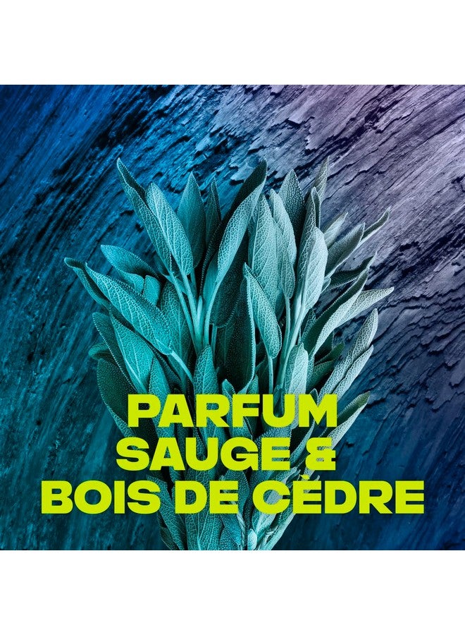 Axe Apollo Shower Gel 250 Ml - Image 3