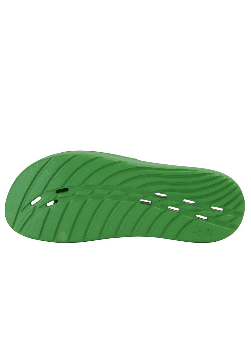 speedo - Casual Slides - Image 1