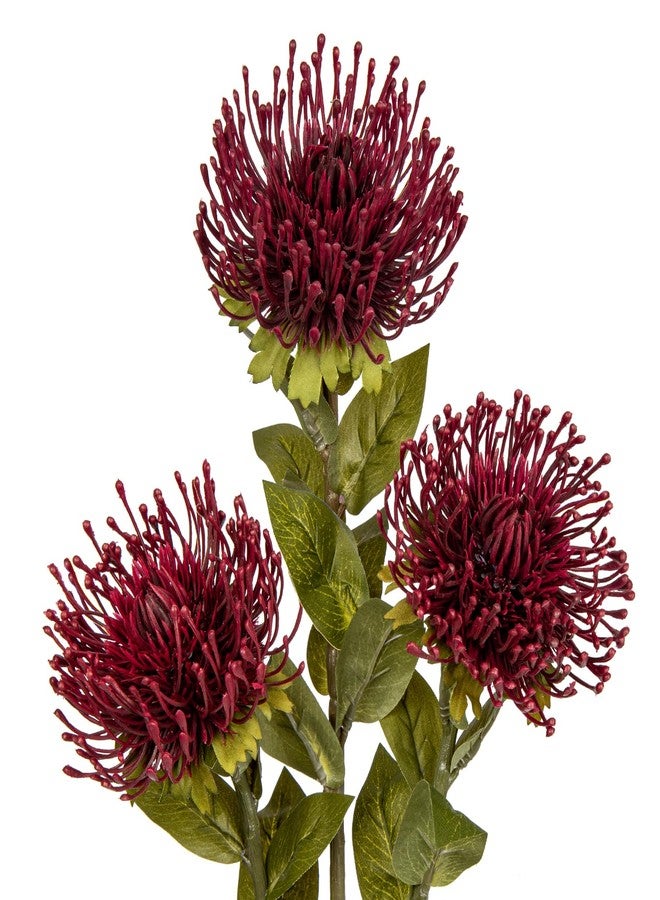 Hollyone 3 قطع من زهور الأقحوان الحمراء الاصطناعية، زهور صناعية من نوع Leucospermum Cordifolium، ساق بطول 28.3 بوصة، زهور عنكبوتية، زهور صناعية على شكل وسادة دبابيس لتزيين المكتب أو المنزل - Image 1