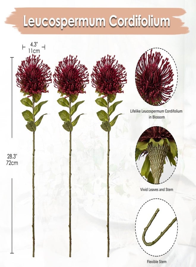 Hollyone 3 قطع من زهور الأقحوان الحمراء الاصطناعية، زهور صناعية من نوع Leucospermum Cordifolium، ساق بطول 28.3 بوصة، زهور عنكبوتية، زهور صناعية على شكل وسادة دبابيس لتزيين المكتب أو المنزل - Image 2