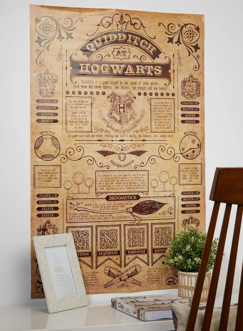Harry Potter Harry Potter Quidditch At Hogwarts Maxi Posters