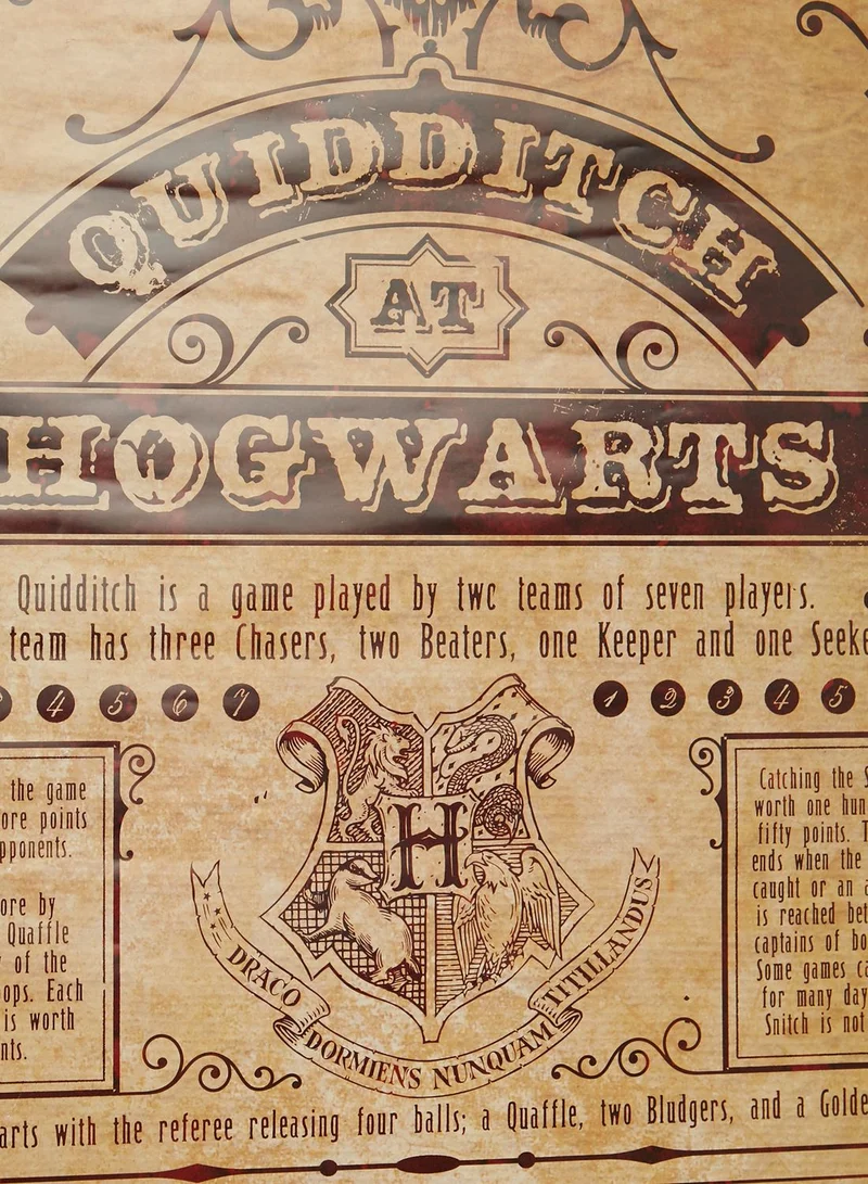 Harry Potter Harry Potter Quidditch At Hogwarts Maxi Posters