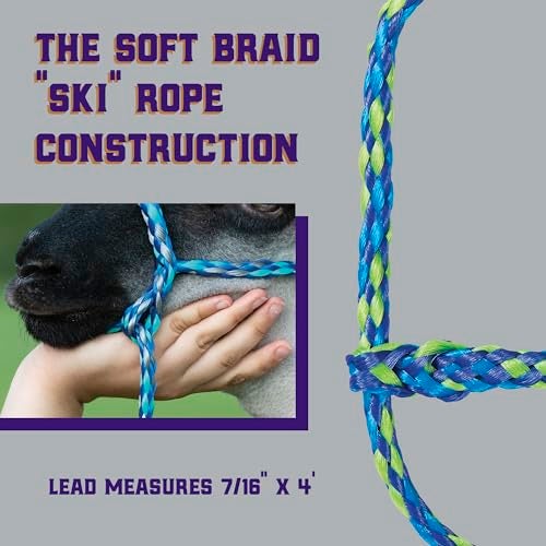 Weaver Leather Weaver Livestock Poly Rope Sheep Halter, Modern Style Braid Sheep and Goat Rope Halter, Adjustable Lamb Halter Lead, Livestock Sheep Showing Supplies - Image 3