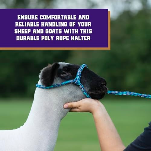 Weaver Leather Weaver Livestock Poly Rope Sheep Halter, Modern Style Braid Sheep and Goat Rope Halter, Adjustable Lamb Halter Lead, Livestock Sheep Showing Supplies - Image 2