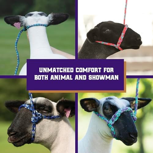 Weaver Leather Weaver Livestock Poly Rope Sheep Halter, Modern Style Braid Sheep and Goat Rope Halter, Adjustable Lamb Halter Lead, Livestock Sheep Showing Supplies - Image 5