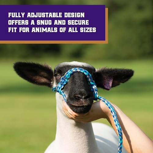 Weaver Leather Weaver Livestock Poly Rope Sheep Halter, Modern Style Braid Sheep and Goat Rope Halter, Adjustable Lamb Halter Lead, Livestock Sheep Showing Supplies - Image 4