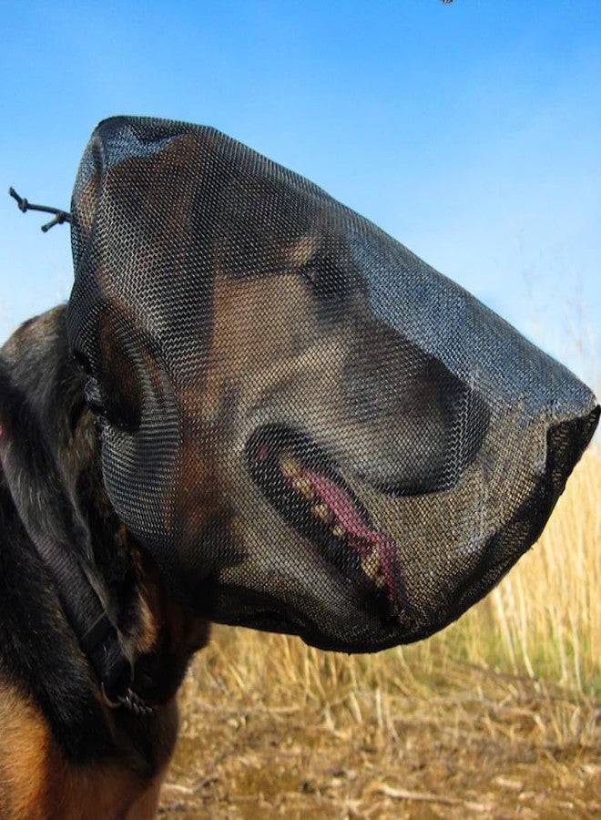 Out Fox Field Guard Size XL - Vet-Recommended Dog Safety Mask for Foxtails, Grass Seeds, Bugs and Debris | Breathable, Lightweight, Patented Design | Multiple Sizes - Image 1