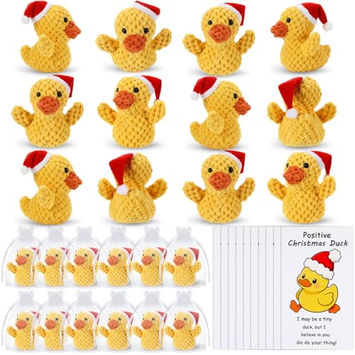 Jerify 12 Set Christmas Crochet Duck Gifts Emotional Yellow Handmade Ducks Bulk with Positive Inspirational Support Cards for Xmas Stocking Stuffers Party Favor Coworkers Employee Team Appreciation - Image 1