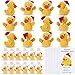 Jerify 12 Set Christmas Crochet Duck Gifts Emotional Yellow Handmade Ducks Bulk with Positive Inspirational Support Cards for Xmas Stocking Stuffers Party Favor Coworkers Employee Team Appreciation - Image 2