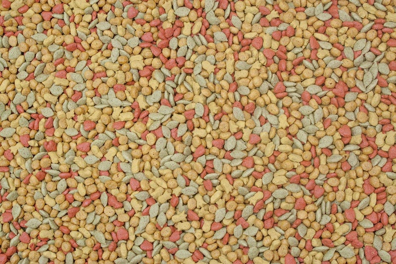 Higgins 2 Pack of Intune Complete and Balanced Diet Conure and Cockatiel Food, 2 Pounds Each - Image 2