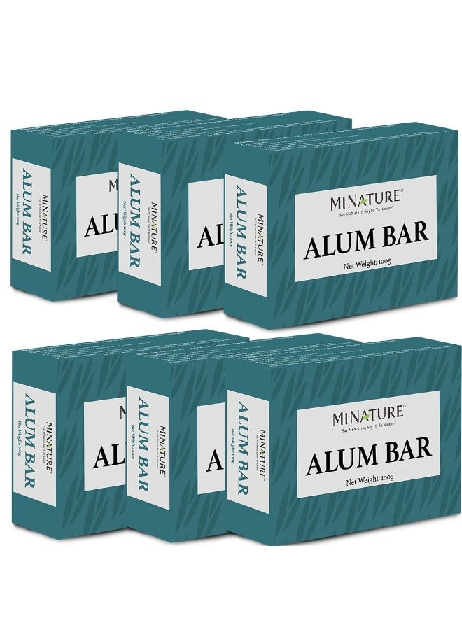minature Pure Alum Bar Pack of 6 (100g*6) |Natural Phitkari Block |Potassium Alum Stone |Shaving Bar |Skin Astringent |Water Clarifier |Odor Control - Image 1