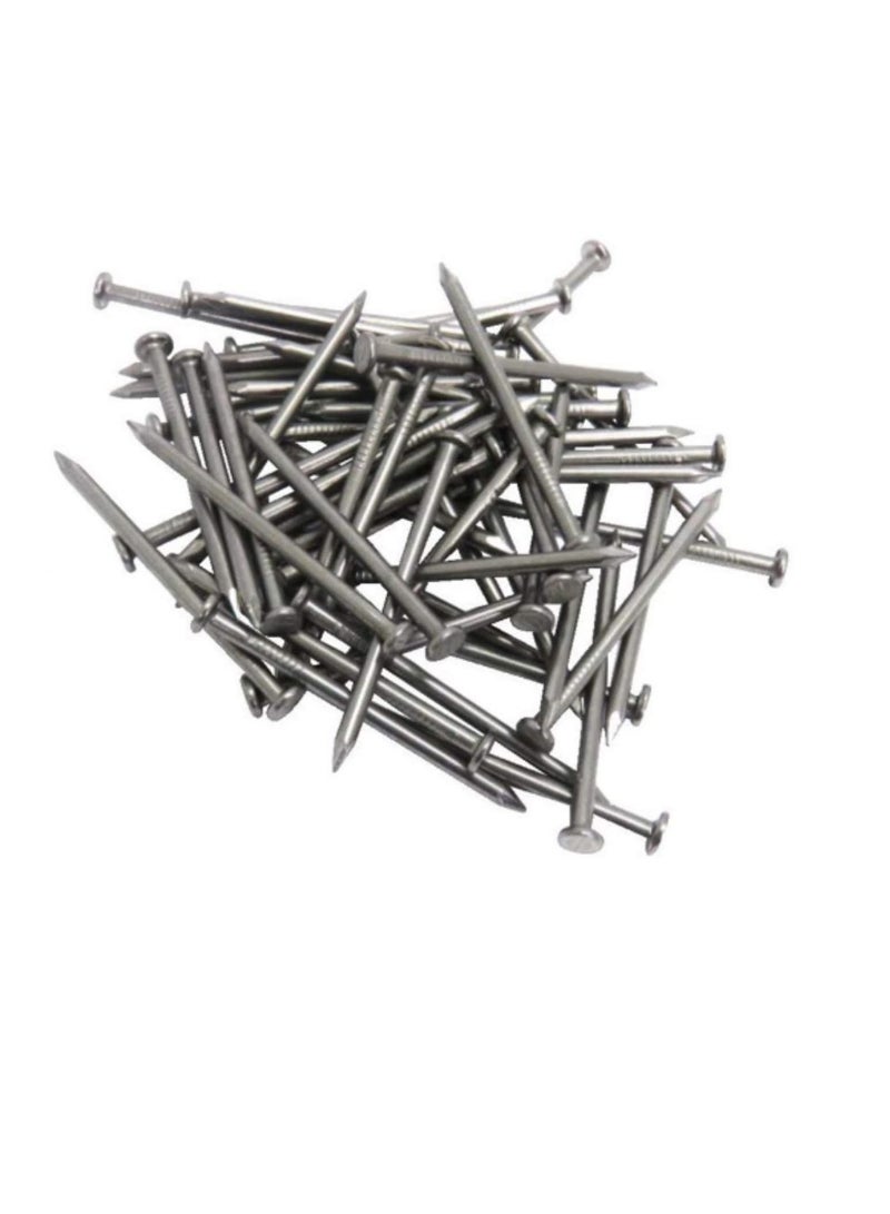 High Strength Round Head Nails For Carpentry Hardware Electrical Etc (600, 2 inch) - Image 3