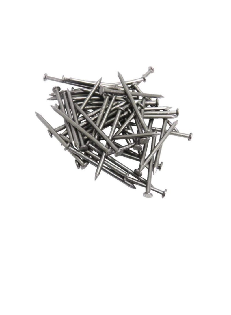 High Strength Round Head Nails For Carpentry Hardware Electrical Etc (600, 2 inch) - Image 2