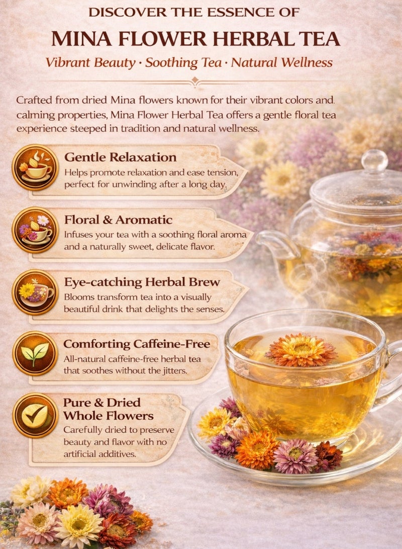 زهر زهور مينا المجففة (زهر مينا مجفف) - زهور دائمة / زهور القش (هيليكريسوم) | زهور طبيعية مجففة فاخرة للاستخدام في البستنة والزراعة العضوية والأعشاب والشاي. - Image 3